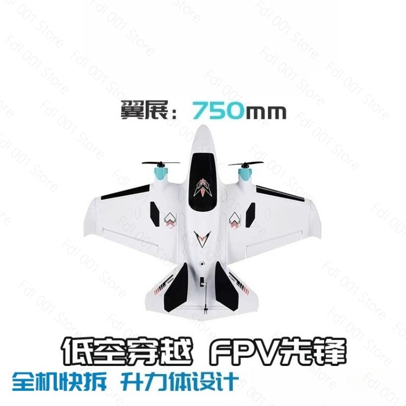 듀얼 모터 FPV 고정익 RC 비행기 레이싱 드론 휴대 - Drone Motor 리뷰 및 가격